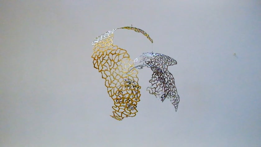 vimeo-video-thumbnail