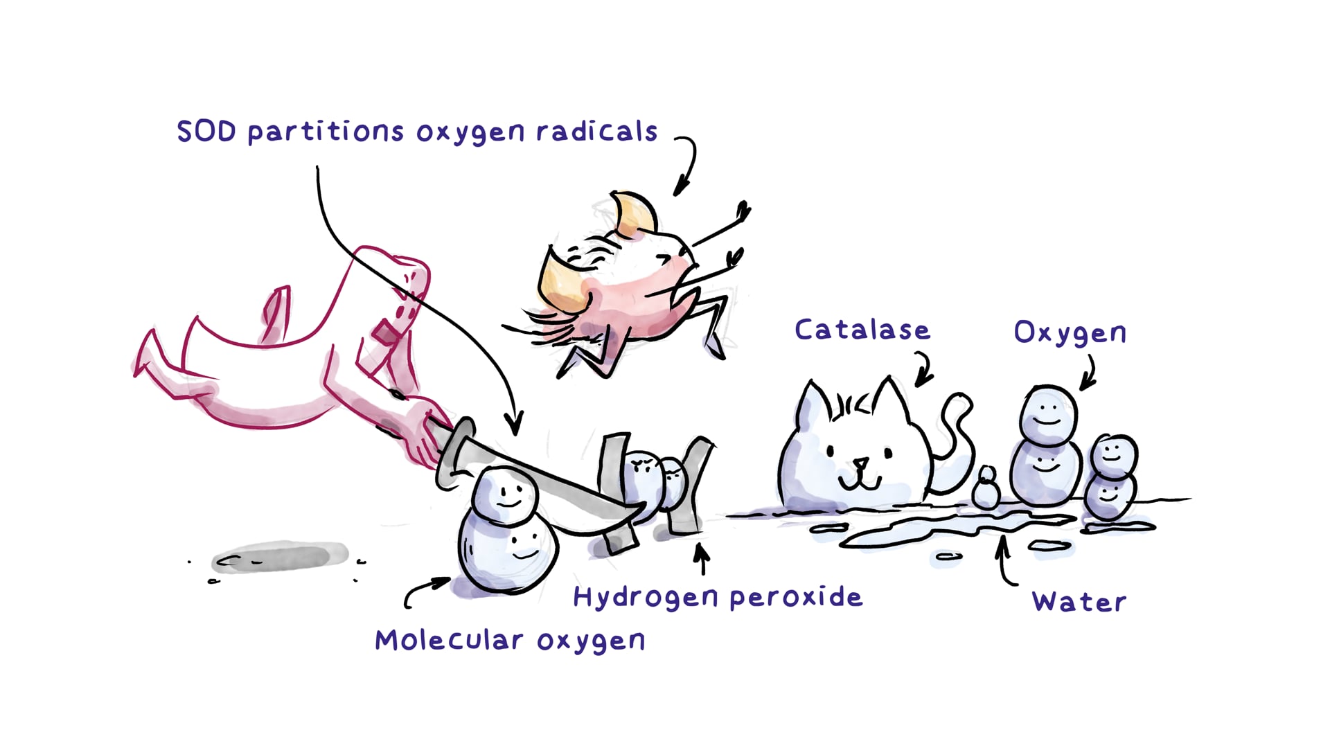 Nocardia and Nocardiosis