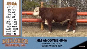 Lot #494 - HM ANODYNE 494A