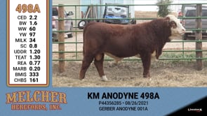 Lot #498 - KM ANODYNE 498A