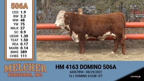 Lot #506 - HM 4163 DOMINO 506A