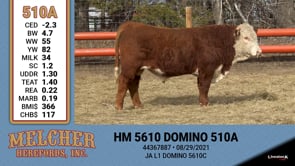 Lot #510 - HM 5610 DOMINO 510A