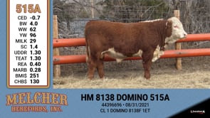 Lot #515 - HM 8138 DOMINO 515A