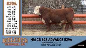 Lot #529 - HM CB 628 ADVANCE 529A