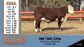 Lot #539 - HM 7485 539A