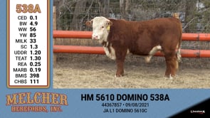 Lot #538 - HM 5610 DOMINO 538A