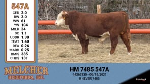Lot #547 - HM 7485 547A