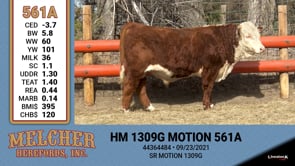 Lot #561 - HM 1309G MOTION 561A