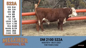 Lot #522 - DM 2100 522A