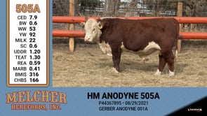 Lot #505 - HM ANODYNE 505A