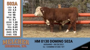 Lot #502 - HM 0130 DOMINO 502A