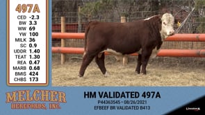 Lot #497 - HM VALIDATED 497A