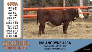 Lot #495 - HM ANODYNE 495A