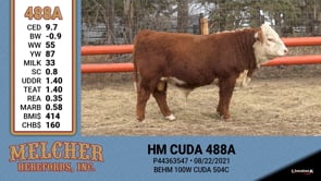 Lot #488 - HM CUDA 488A
