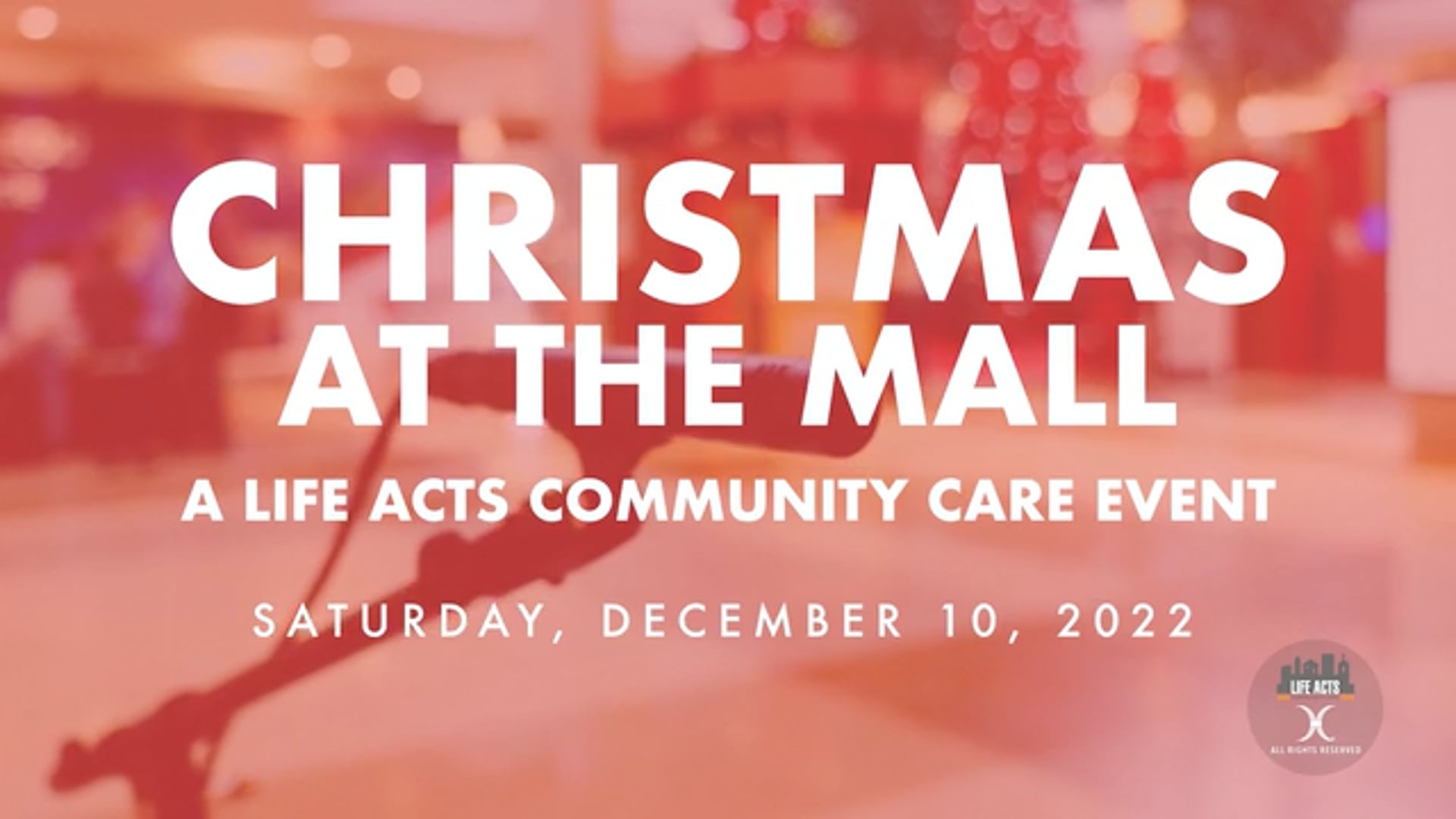 2022 Christmas at the Mall: A LifeActs Community Care Event