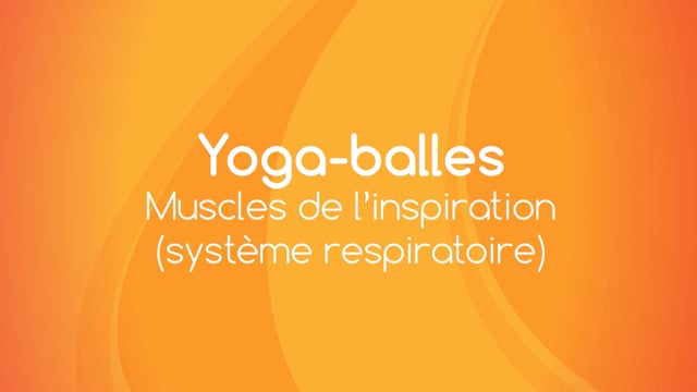 Yoga Balles™️ - Pour les muscles de l'inspiration (système respiratoire)