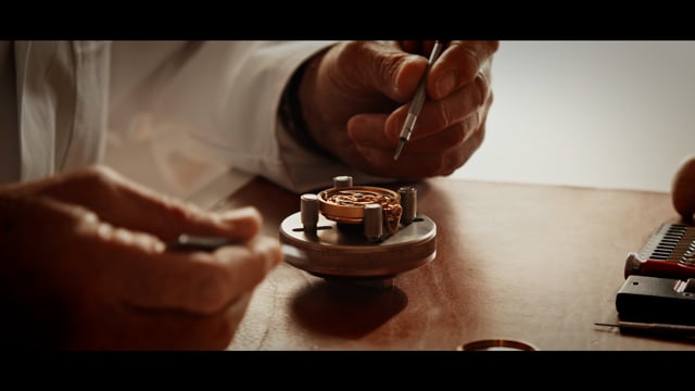 Wealth Investment Network- WENET AG - cliccare per aprire il video