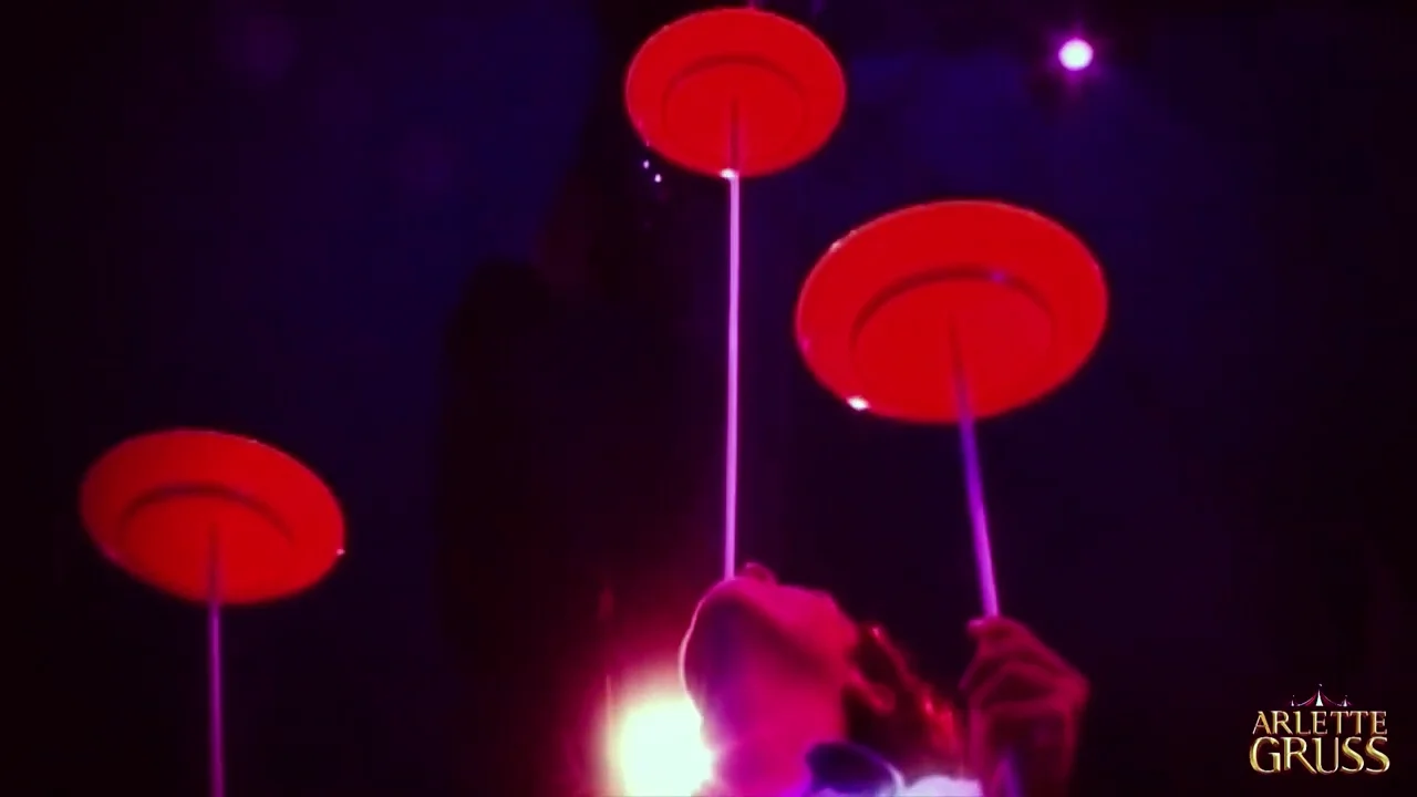 Spectacle. À Mulhouse, le cirque Arlette Gruss transmet toujours sa magie