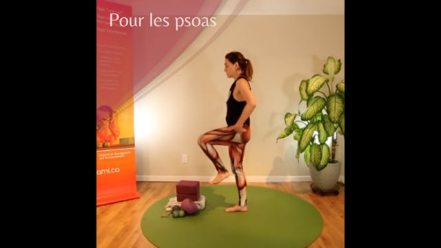 Yoga Balles™️ - Pour les psoas