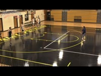 Preview Video #1