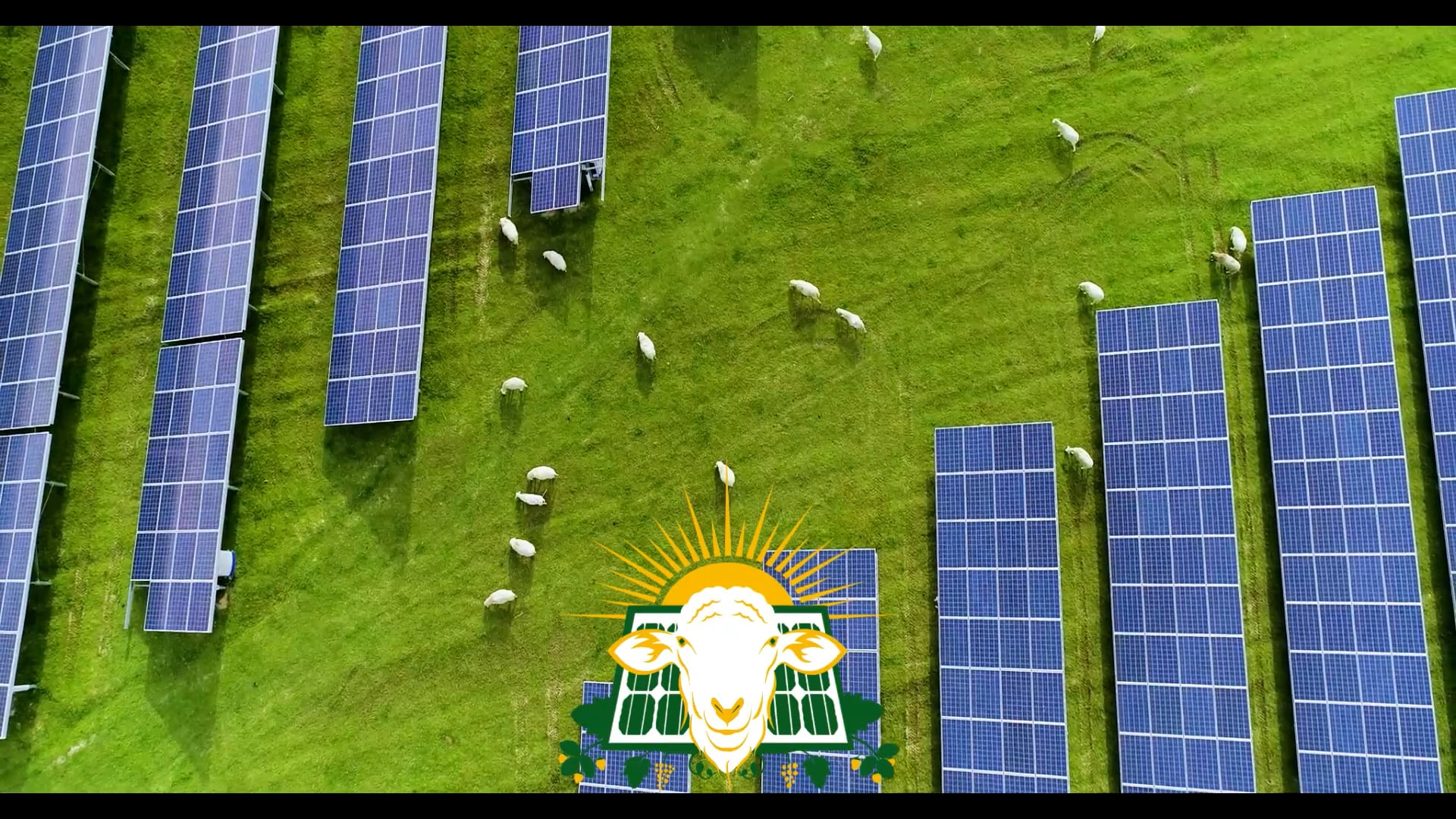 Agrivoltaics Conference Solar Farm Summit