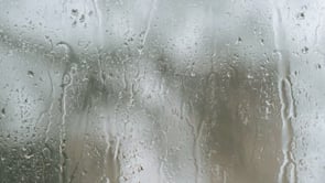 Images of Waco - Rainy Day