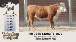 Lot #1 - KR 733E STARLITE 107J
