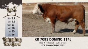 Lot #2 - KR 7093 DOMINO 114J