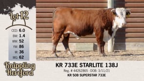 Lot #12 - KR 733E STARLITE 138J