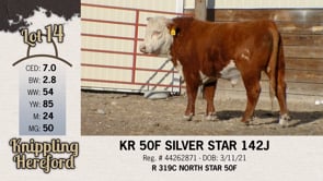 Lot #14 - KR 50F SILVER STAR 142J