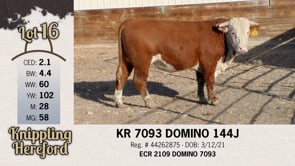 Lot #16 - KR 7093 DOMINO 144J
