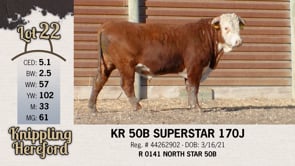 Lot #22 - KR 50B SUPERSTAR 170J