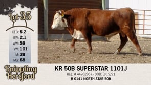 Lot #35 - KR 50B SUPERSTAR 1101J