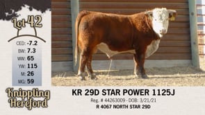 Lot #42 - KR 29D STAR POWER 1125J