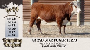 Lot #44 - KR 29D STAR POWER 1127J