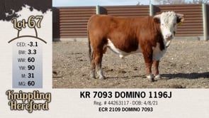 Lot #67 - KR 7093 DOMINO 1196J