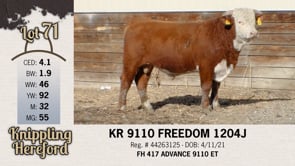 Lot #71 - KR 9110 FREEDOM 1204J