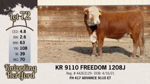 Lot #72 - KR 9110 FREEDOM 1208J