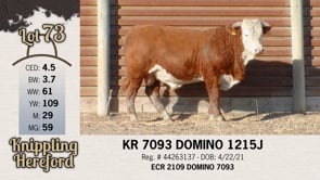 Lot #73 - KR 7093 DOMINO 1215J