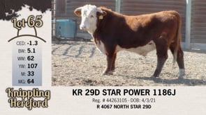 Lot #65 - KR 29D STAR POWER 1186J