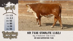 Lot #64 - KR 733E STARLITE 1182J