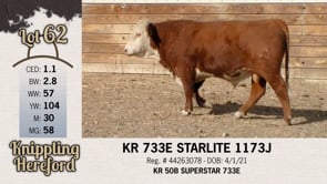 Lot #62 - KR 733E STARLITE 1173J