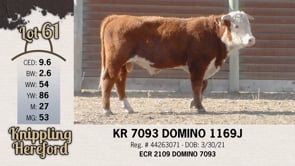 Lot #61 - KR 7093 DOMINO 1169J