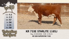 Lot #59 - KR 733E STARLITE 1165J