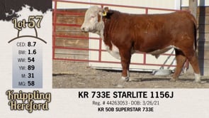 Lot #57 - KR 733E STARLITE 1156J