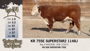 Lot #54 - KR 755E SUPERSTAR2 1148J