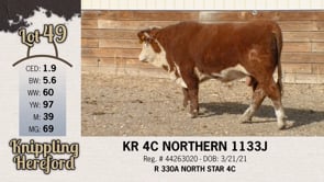 Lot #49 - KR 4C NORTHERN 1133J
