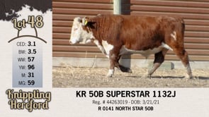 Lot #48 - KR 50B SUPERSTAR 1132J