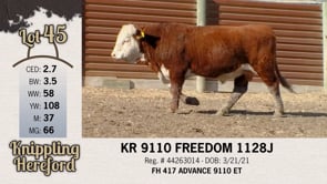 Lot #45 - KR9110 FREEDOM 1128J