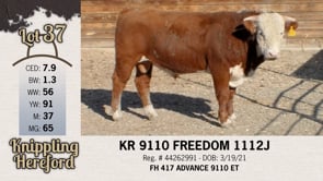 Lot #37 - KR 9110 FREEDOM 1112J